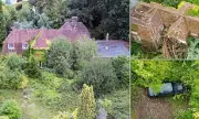 Inside the Abandoned £3m Mansion: The Heartbreaking Story Behind the Overgrown Estate and Forgotten Luxury Cars