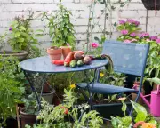 Is Your Garden Wild and Untamed? Why You Should Celebrate the Chaos