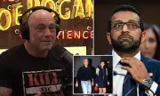 Joe Rogan Sparks Outrage Over Trump-Epstein Claims: 'They Knew Everything!'