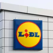 Lidl Shoppers Stunned After Spotting Mysterious Animal Hiding in Store