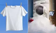 Luxury £395 T-Shirt Fails Durability Test – Lasts Just 4 Washes!