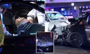 Luxury Rolls-Royce Crashes into Tree in Exclusive Sydney Suburb: Shocking Details Emerge