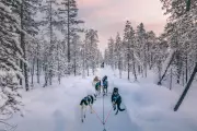 Magical Lapland Day Trips: TUI's Search for Santa Returns for Christmas 2024