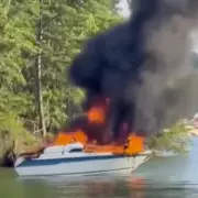 Miracle in the Jungle: Four Children Survive 40 Days After Plane Crash in Amazon