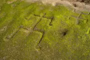 Mysterious Petroglyphs in Waianae: Ancient Hawaiian Carvings Baffle Experts
