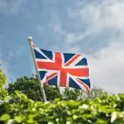 Neighbour's Revenge Goes Viral: Man Turns Rival's Home into a Toilet Paper Fortress