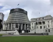 New Zealand's Bold Electoral Reform: Strengthening Māori Rights and Human Rights Law