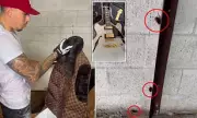 NFL Star Chad Ochocinco Johnson's Abandoned Storage Unit Overrun by Cockroaches – Shocking Discovery!