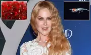 Nicole Kidman's Secret to Weight Loss? This Unusual Pill Could Be the Next Big Thing!