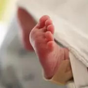 NICU Nurse Shares Heartbreaking Reality: 'Parents Often Miss Their Baby's First Steps'