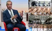 Nigel Farage Unveils Radical Plan to Tackle Lawless Britain: 'El Salvador-Style' Prisons for Offenders