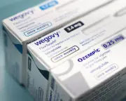 Novo Nordisk Shares Soar as Wegovy Sales Surge, Outpacing Eli Lilly