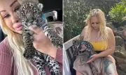 OnlyFans Model Dodges Jail After Selling Jaguar Cub to Online Acquaintance