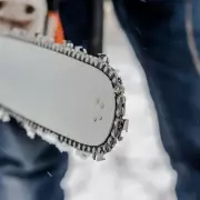 Outrage as Neighbour Illegally Hacks Down 30ft Tree in Row Over Garden View