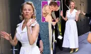 Pamela Anderson Spotted with Liam Neeson: Are They Dating?