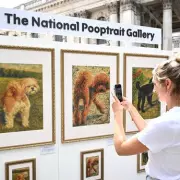 Paws for Thought: New Dog-Themed Exhibition Opens in London