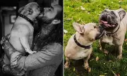 Pete Wicks Opens Up About Emotional Week After Losing Beloved Dog Peggy
