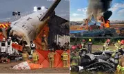 Pilots Blamed for Deadly South Korea Plane Crash That Killed 179, Report Reveals
