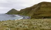 Powerful 6.2 Magnitude Earthquake Strikes Remote Macquarie Island – No Tsunami Threat