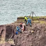 Public Alert: Deadly Mushroom Poisoning Sparks Urgent Warning Across UK