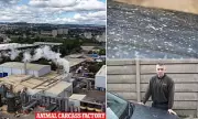 Residents Outraged as Blood-Red Sludge Rains Down from Giant Incinerator Used to Cremate Zoo Animals and Beached Whales