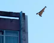 Russia Allegedly Using Children to Design and Test Military Drones, Shocking Investigation Reveals