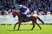 Saturday Racing Tips: Best Bets & Odds for Ascot and York on 26 July