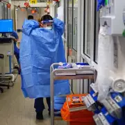 Scientists Discover Why Some People Never Caught COVID – The Surprising Genetic Shield