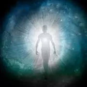 Scientists Reveal What Your Dog Dreams About – The Surprising Truth!