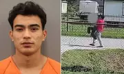 Sex Trafficking Victim Screams for Help as Illegal Immigrant Drags Her Back into Captivity