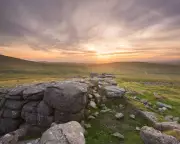 Sheep Farming on Dartmoor: How Taxpayers Fund Habitat Destruction