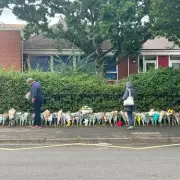 Shocking Bus Crash in Minehead: Nearly £40k Raised for Injured Driver