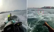 Shocking Jet Ski Collision Caught on Camera: Thrill-Seeker Sends Unsuspecting Rider Flying