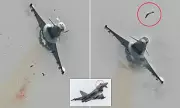 Shocking Moment: Seagull Smashes into £73m Eurofighter Jet at Airshow, Shattering Cockpit