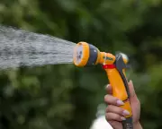 Southern Water Imposes Hosepipe Ban in Hampshire and Isle of Wight Amid Drought Crisis