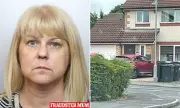 Suburban Mum's Double Life: How a 'Quiet Housewife' Ran a £100k Theft Ring Under Police Noses