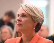 Tanya Plibersek Warns of Rising Political Polarisation in Australia