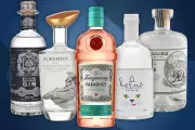 The Best Gin Brands to Elevate Your Home Bar in 2024