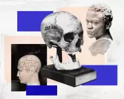 The Disturbing Revival of Phrenology and IQ Tests by the Far Right