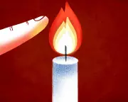 The Science of Pain, G7 Chaos, and Magic Mushrooms: This Week's Must-Read Stories