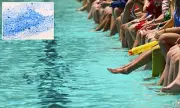 The Shocking Truth About Chlorine in Swimming Pools: What You're Really Swimming In