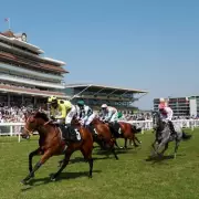 Thursday's Top Horse Racing Tips: Five Must-Back Picks for Today's Races