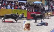 Tragedy at Mexican Bullfighting Festival: Matador Gored in Shocking Incident