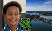 Tragedy Strikes as 12-Year-Old Boy Dies from Rare Brain-Eating Amoeba After Swimming in Lake
