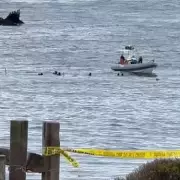 Tragic California Plane Crash Claims Three Lives: Shocking Details Revealed