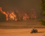 Tragic Wildfire in Turkey Claims Lives of Forest Workers and Rescuers