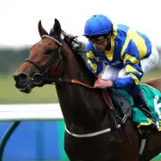 Trueshan's Goodwood Glory Cut Short as Hollie Doyle Suffers Injury – Racing Drama Unfolds