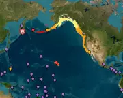 Tsunami Alerts in Pacific: Latest Updates for Japan, US, Hawaii, and California
