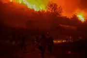 Turkey Battles Raging Wildfires Amid Scorching 50°C Heatwave