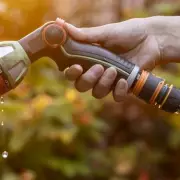 UK Drought Emergency: Environment Agency Issues Major Warning Amid Heatwave